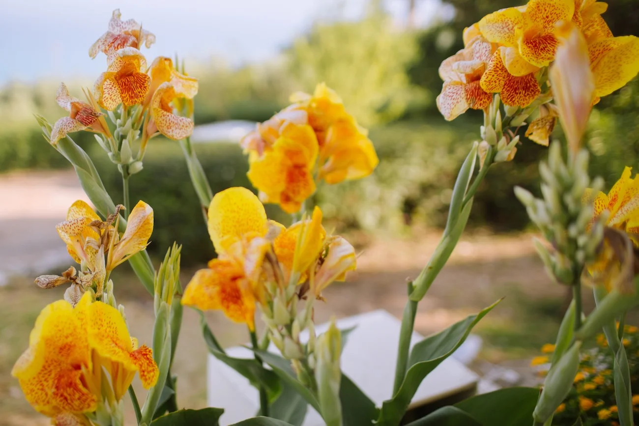 Luxury Weddings Kefalonia - Kefalonia Weddings